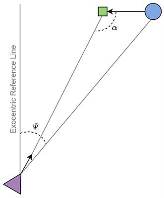 A neural active inference model of perceptual-motor learning